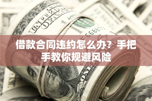 武汉借款合同违约怎么办？手把手教你规避风险
