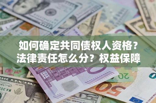 武汉如何确定共同债权人资格？法律责任怎么分？权益保障技巧揭秘！