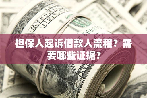 武汉担保人起诉借款人流程？需要哪些证据？