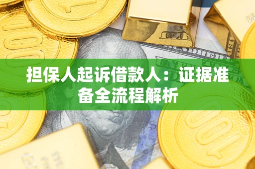 武汉担保人起诉借款人：证据准备全流程解析