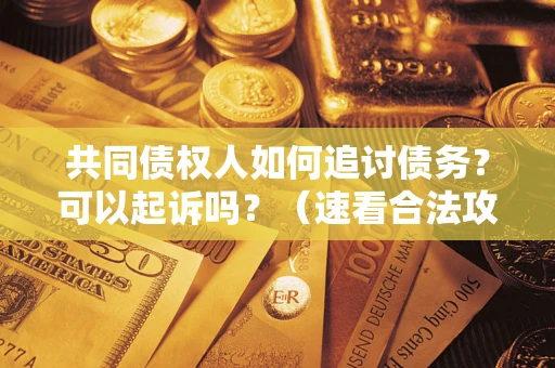 武汉共同债权人如何追讨债务？可以起诉吗？（速看合法攻略）