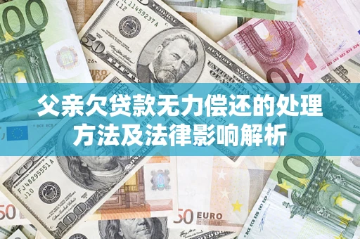 武汉父亲欠贷款无力偿还的处理方法及法律影响解析